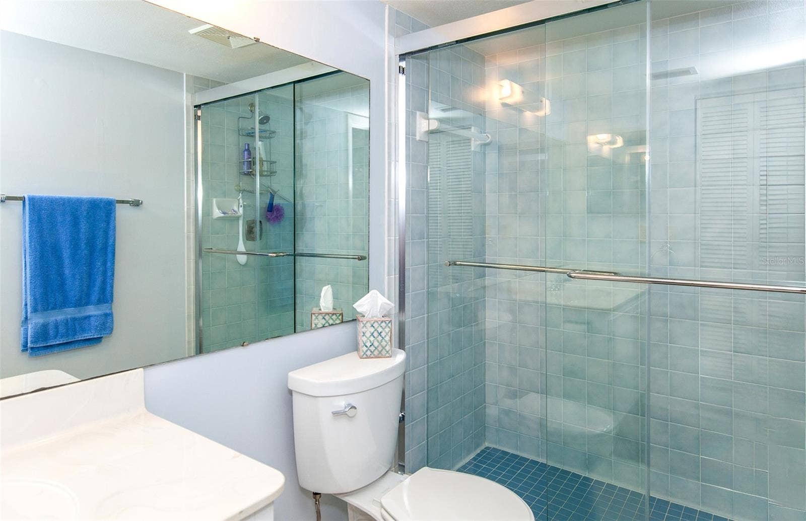 862 BIRD BAY WAY, #194, Venice, FL 34285 Master Bath