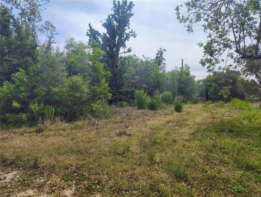 Property photo for 9283 MANDY STREET, Punta Gorda, FL