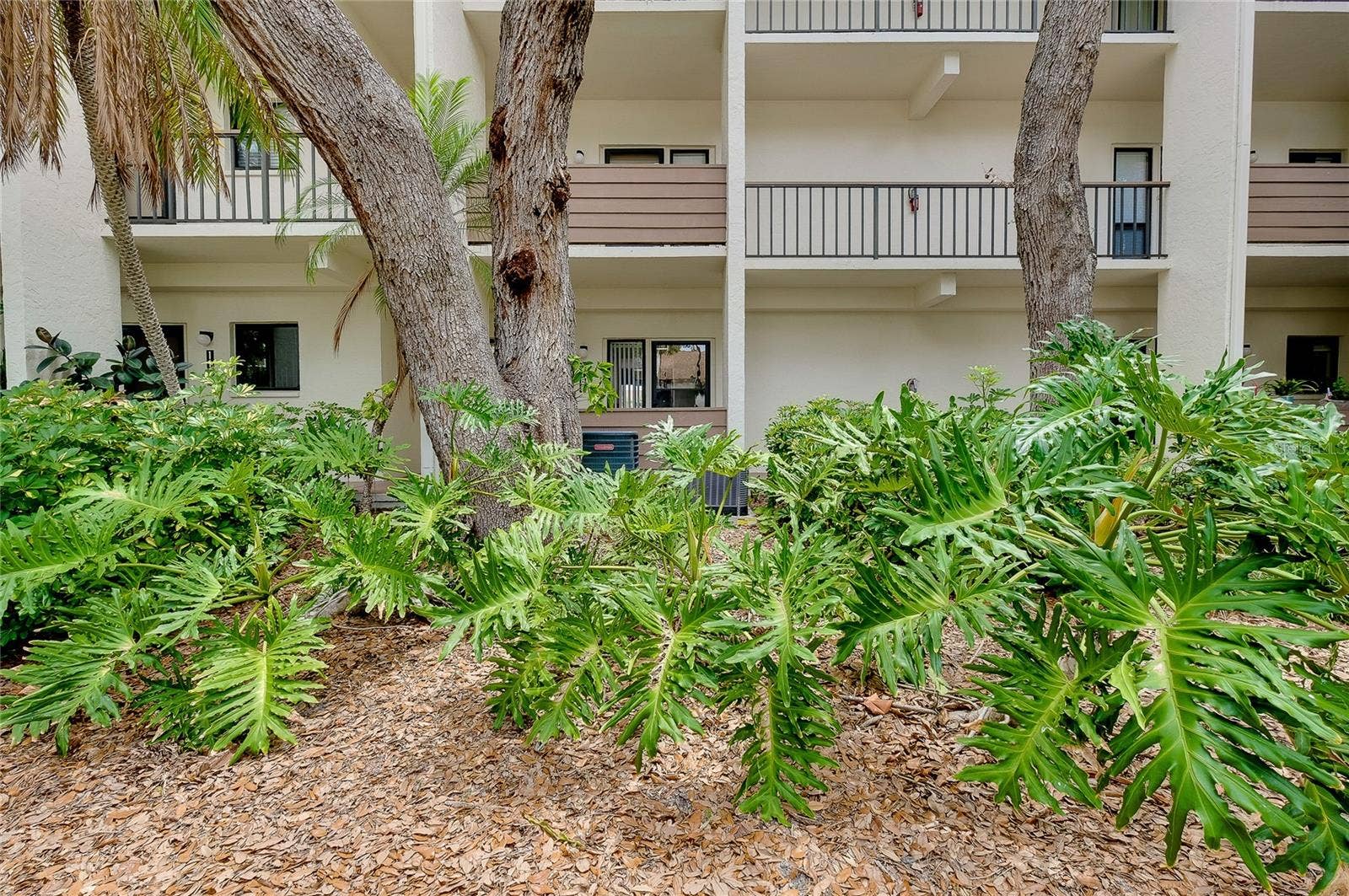 1186 BIRD BAY WAY, #109, Venice, FL 34285 1186 BIRD BAY WAY, #109, Venice, FL 34285