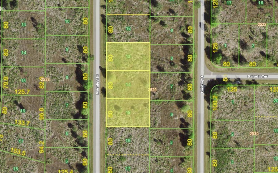 Property photo for 238, 246 & 254 MORALES STREET, Port Charlotte, FL