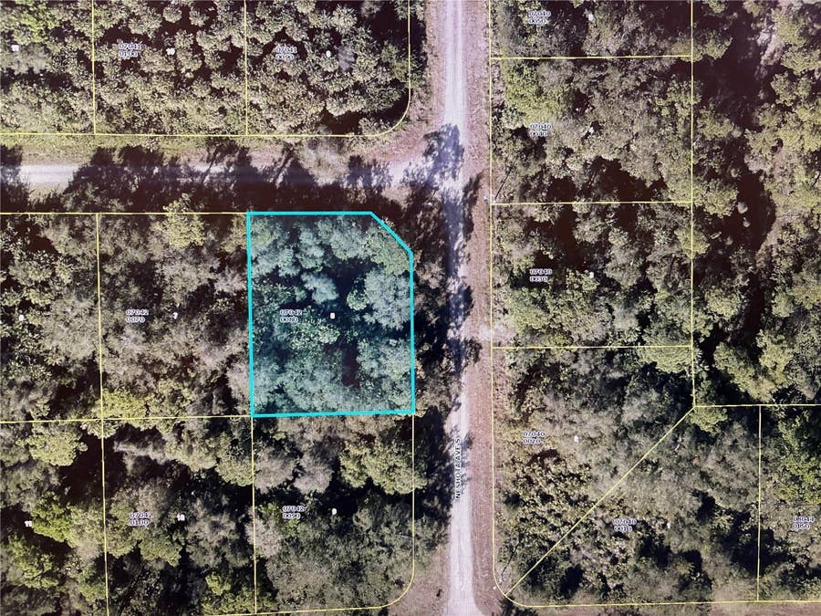 Property photo for 1224 ROSITA STREET E, Lehigh Acres, FL