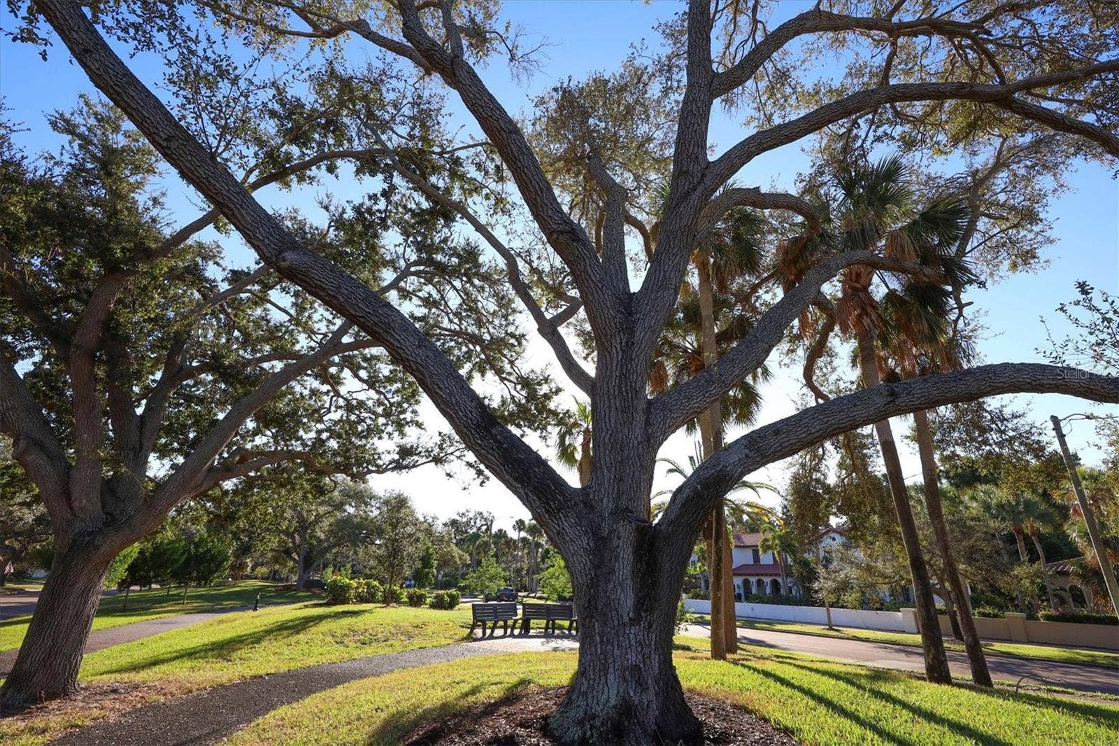 620 HIBISCUS DRIVE, Venice, FL 34285