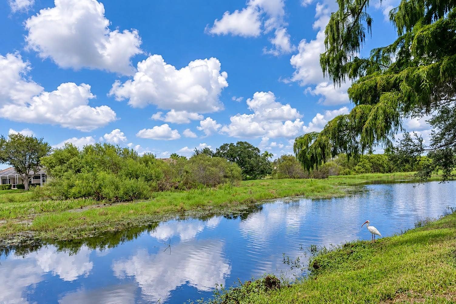 5113 FLAGSTONE DRIVE, Sarasota, FL 34238 Lake and nature preserve view.
