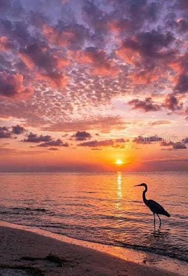 4485 GULF OF MEXICO DRIVE, #402, Longboat Key, FL 34228 4485 GULF OF MEXICO DRIVE, #402, Longboat Key, FL 34228