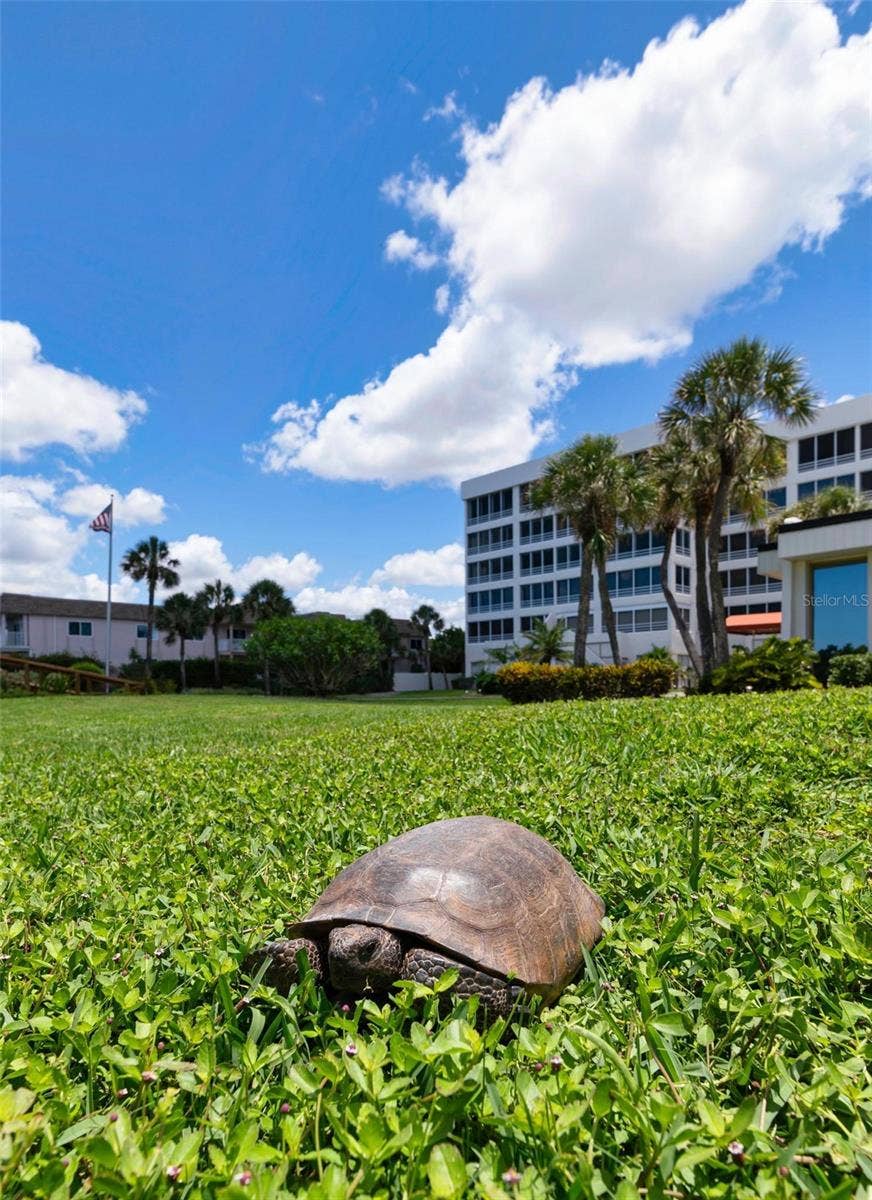 550 W FLAMINGO DRIVE, #2, Venice, FL 34285 550 W FLAMINGO DRIVE, #2, Venice, FL 34285