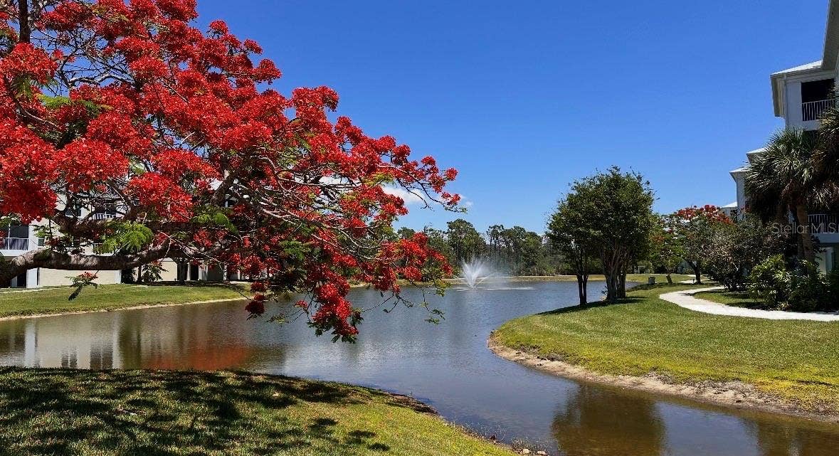 8407 PLACIDA ROAD, #205, Placida, FL 33946 8407 PLACIDA ROAD, #205, Placida, FL 33946