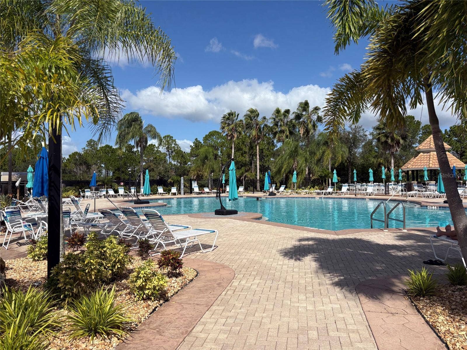 2216 WEAVER BIRD LANE, Venice, FL 34292 Wide view of pool; there is a jacuzzi as well