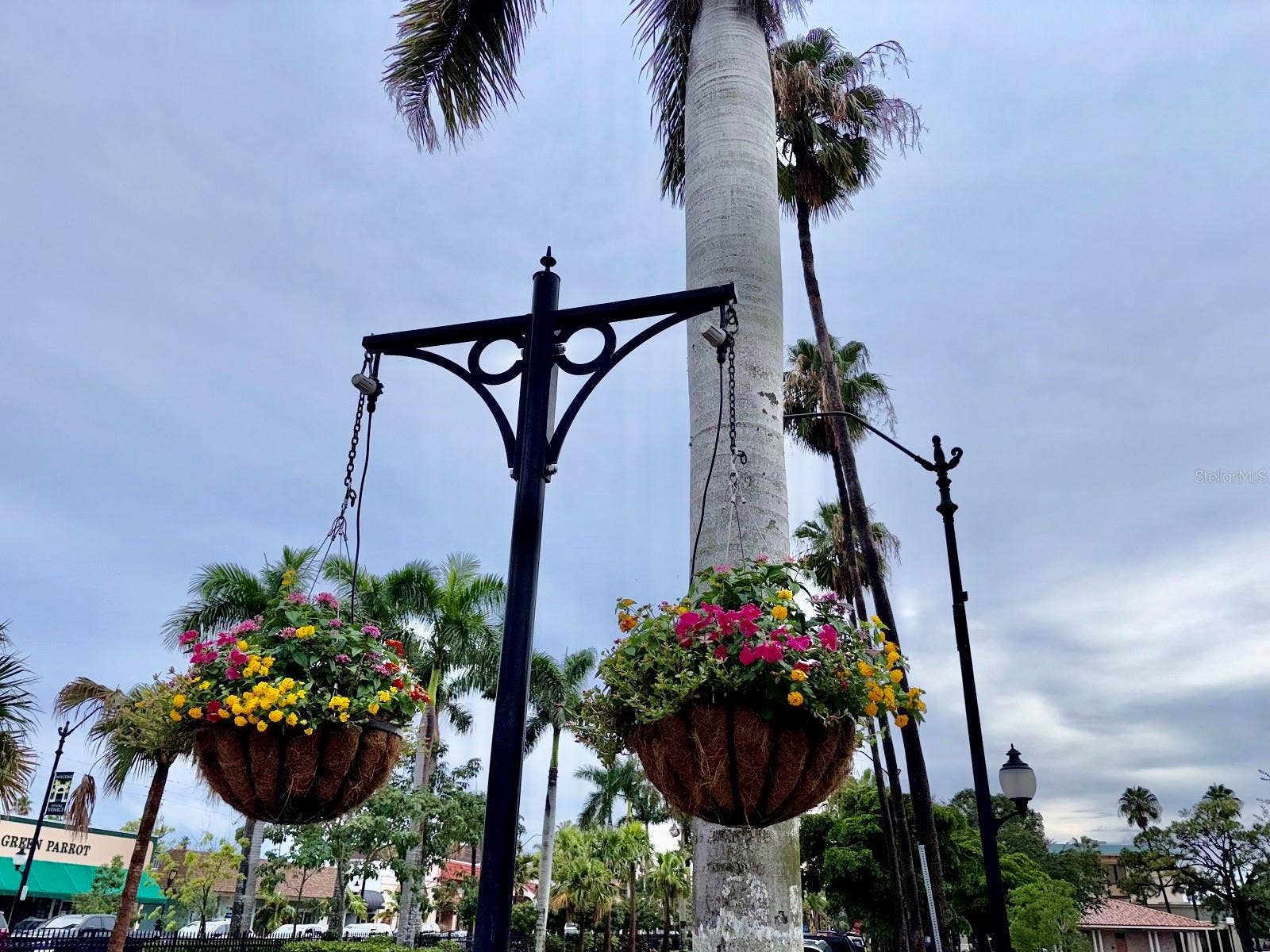 2216 WEAVER BIRD LANE, Venice, FL 34292 Quaint downtown Historic Venice is lined with Palms and colorful flowers
