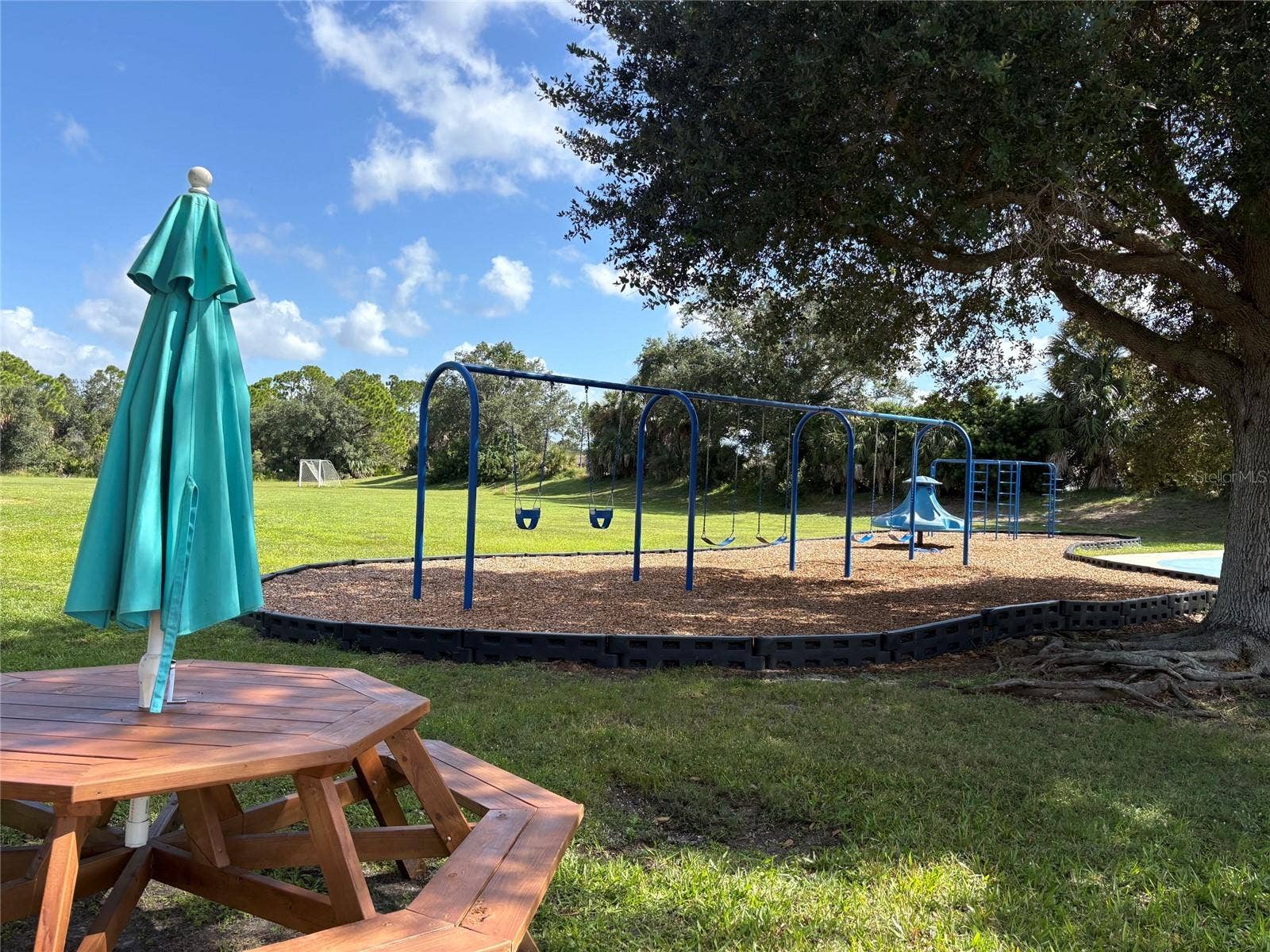 2216 WEAVER BIRD LANE, Venice, FL 34292 Swings