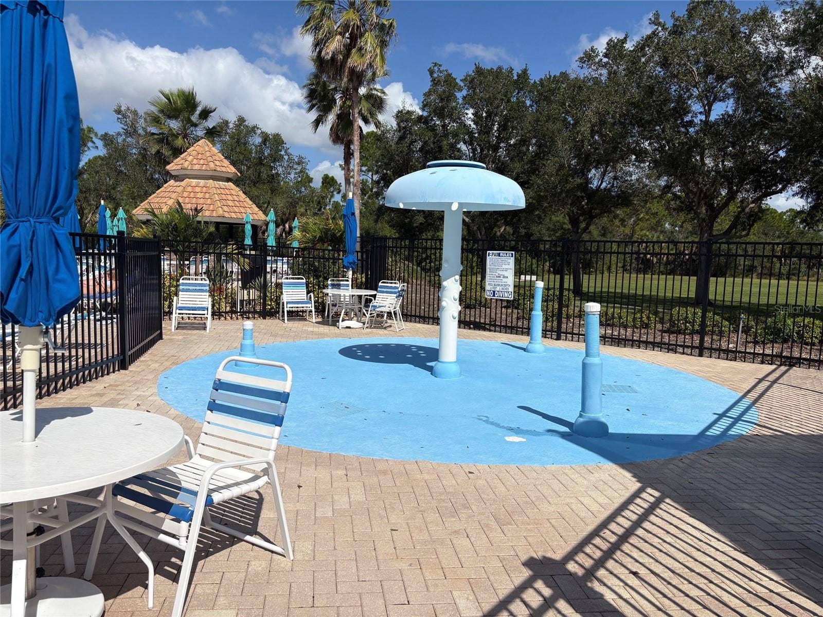 2216 WEAVER BIRD LANE, Venice, FL 34292 Splash park for the little ones