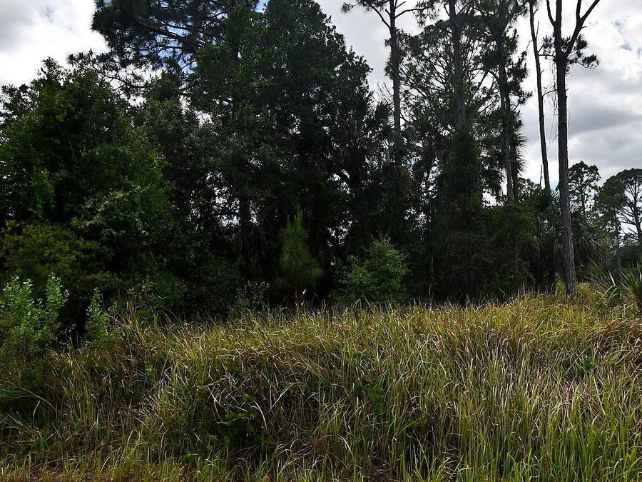 Property photo for STEGALE ROAD, North Port, FL