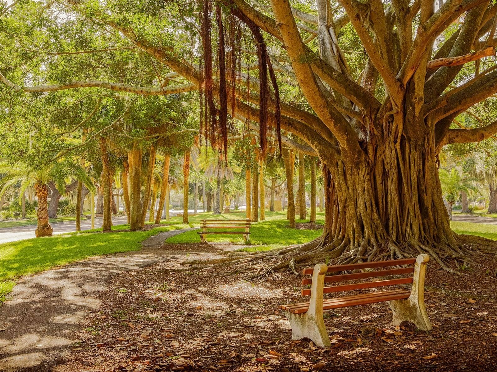 801 WATERSIDE DRIVE, #102, Venice, FL 34285 801 WATERSIDE DRIVE, #102, Venice, FL 34285