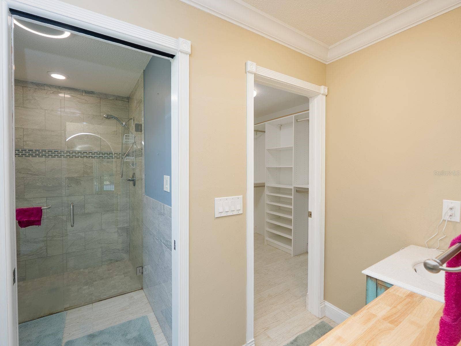 primary bath shower and door to walk in closet