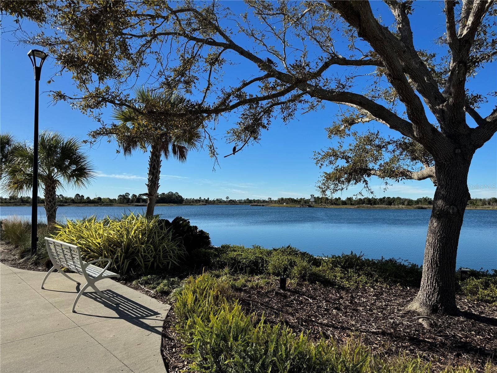 19946 BENISSIMO DRIVE, Venice, FL 34293 Wellen Park 80-Acre Lake and Walking Trail