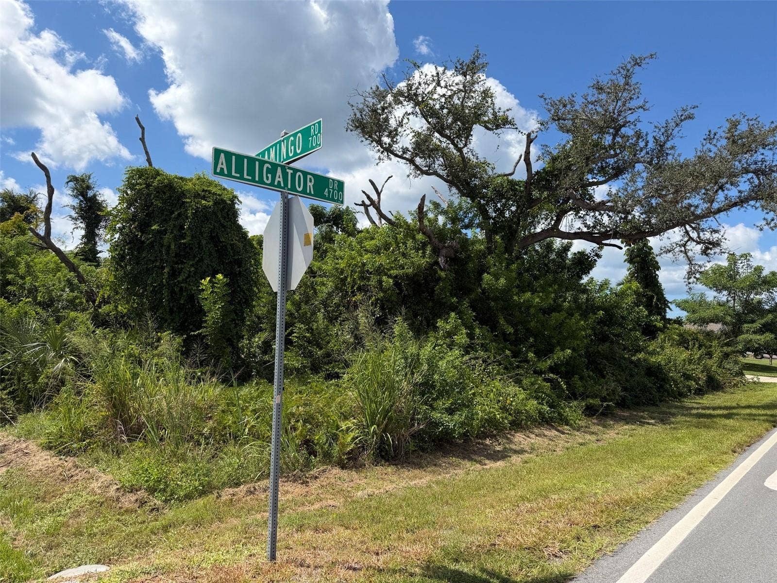 RAINBOW ROAD, Venice, FL 34293 RAINBOW ROAD, Venice, FL 34293