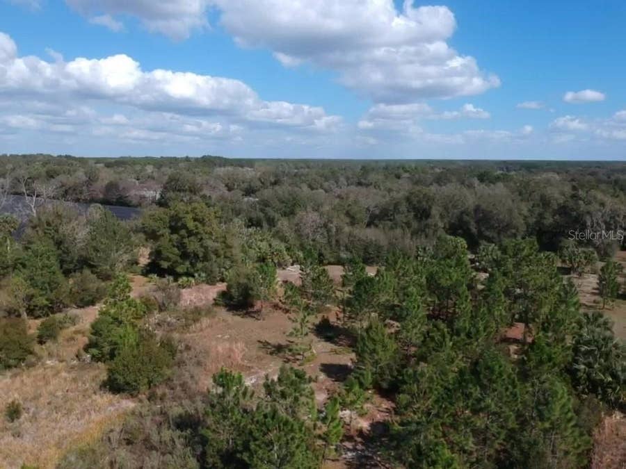 Property photo for 0 Crooked Mile ROAD, Paisley, FL