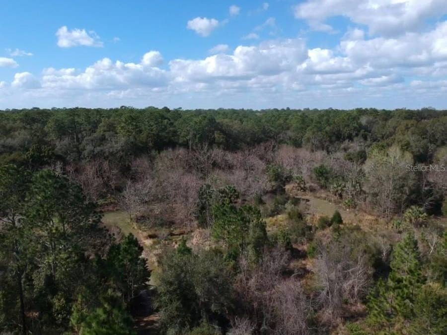 Property photo for 00 Crooked Mile ROAD, Paisley, FL