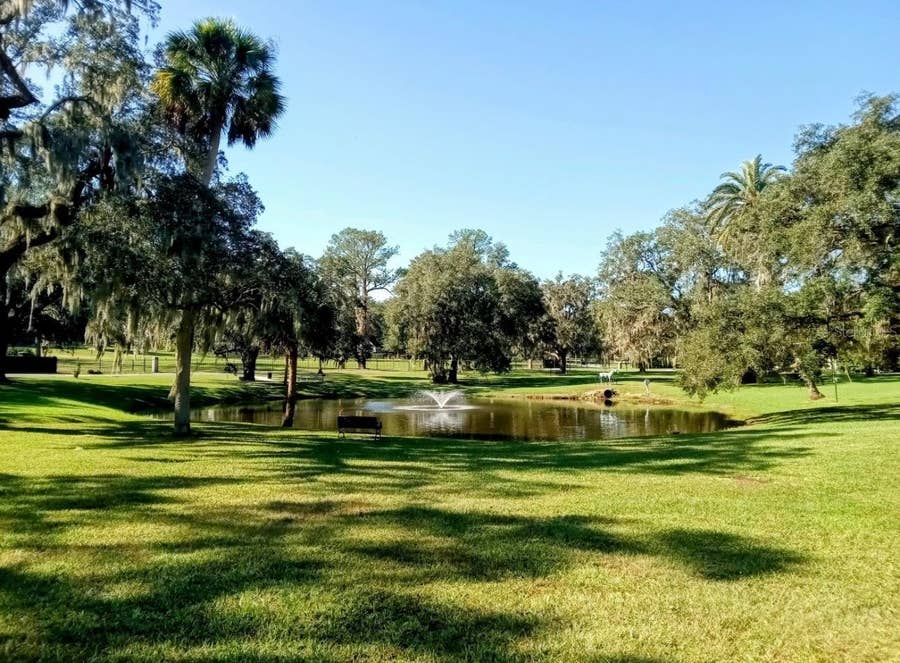 Property photo for 0 SE 12TH STREET N, Ocala, FL