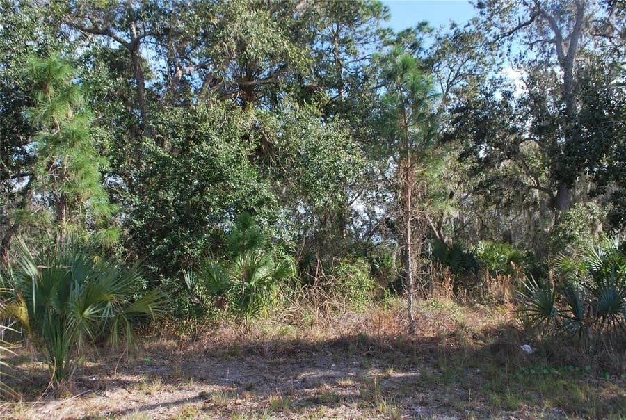 Property photo for S RIDGEWOOD AVENUE, Edgewater, FL