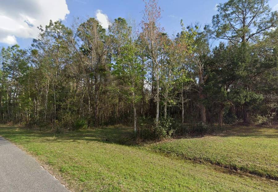 Property photo for 257 HARBOR DRIVE, Palatka, FL