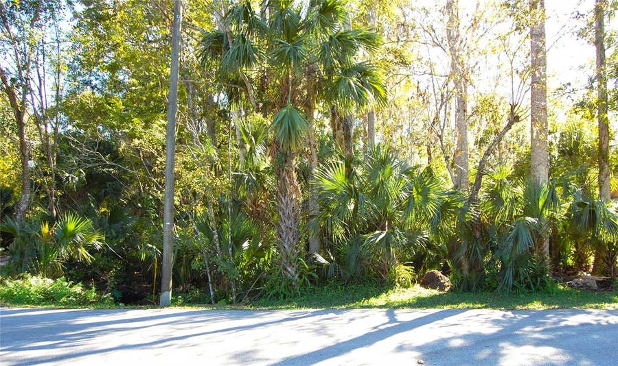 Property photo for 0 PALM DRIVE, New Smyrna Beach, FL