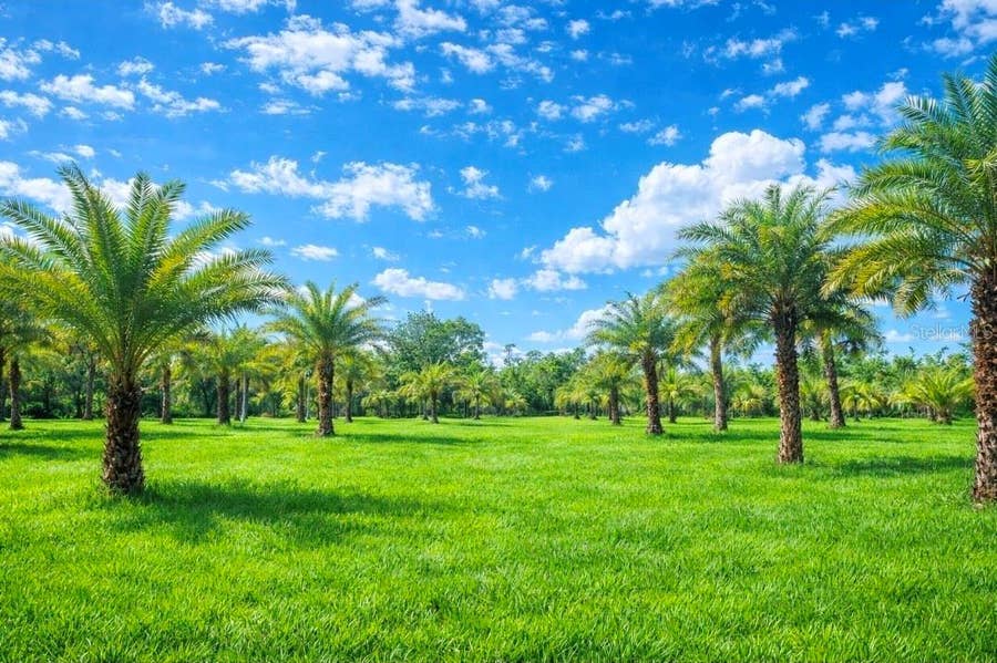 Property photo for 2625 GLENCOE FARMS ROAD, New Smyrna Beach, FL