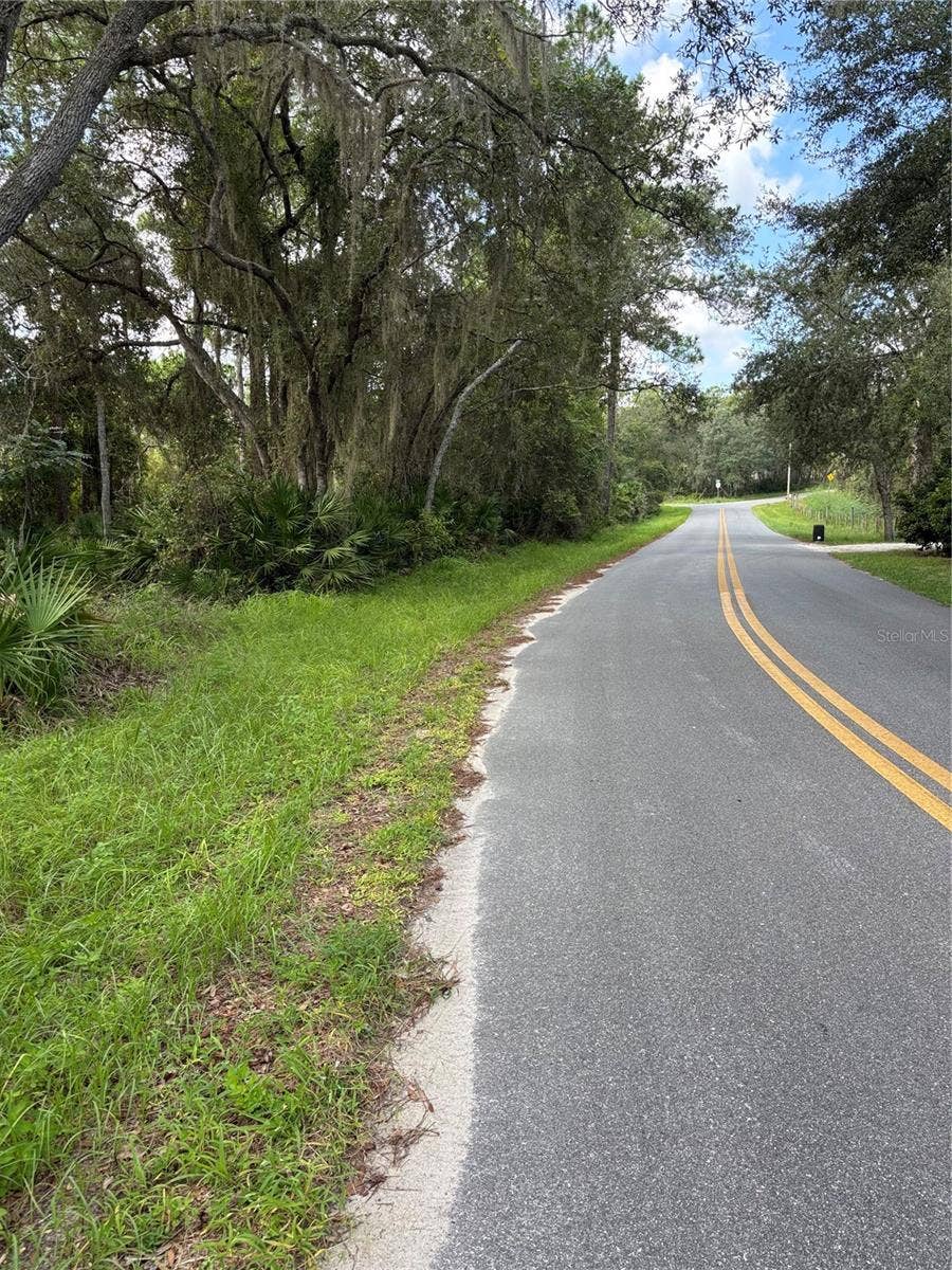 Property photo for 246 BROWNS HAMMOCK ROAD, Crescent City, FL