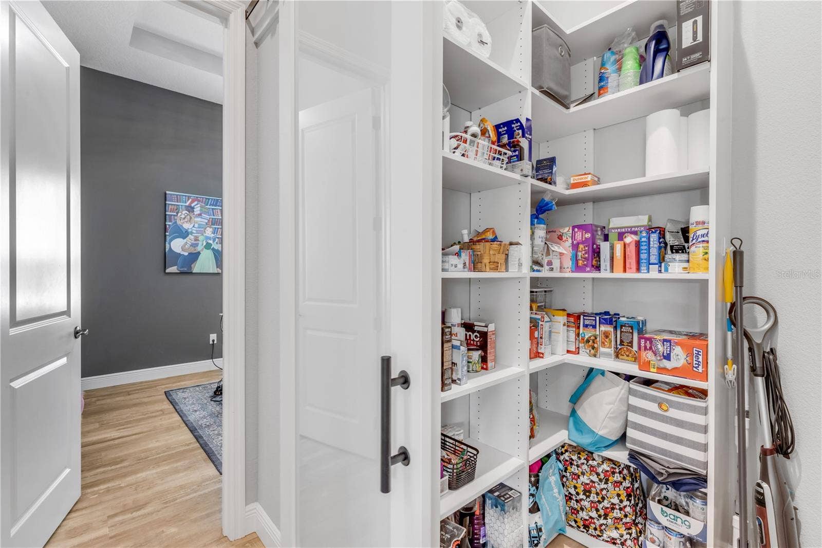 3055 ISOLA BELLA BOULEVARD, Mount Dora, FL 32757 3055 ISOLA BELLA BOULEVARD, Mount Dora, FL 32757
