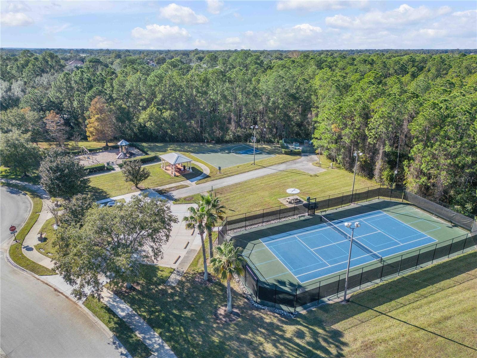 3029 ISOLA BELLA BOULEVARD, Mount Dora, FL 32757 3029 ISOLA BELLA BOULEVARD, Mount Dora, FL 32757
