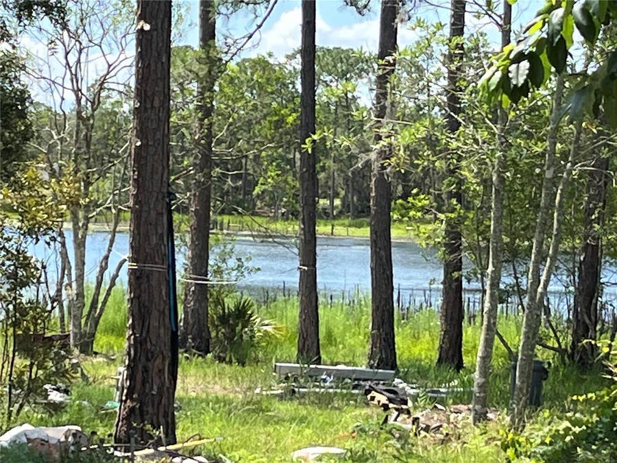 Property photo for 42334 W LAKE ROAD, Deland, FL
