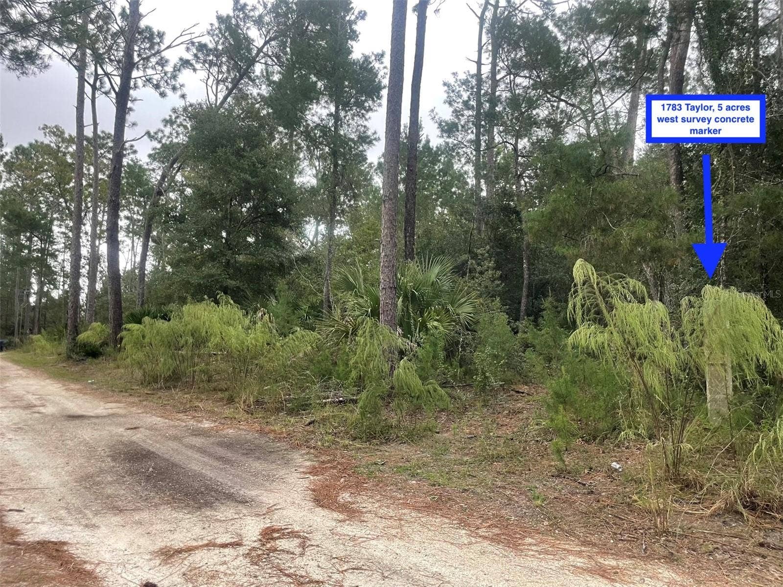 1783 TAYLOR ROAD, Port Orange, FL 32128