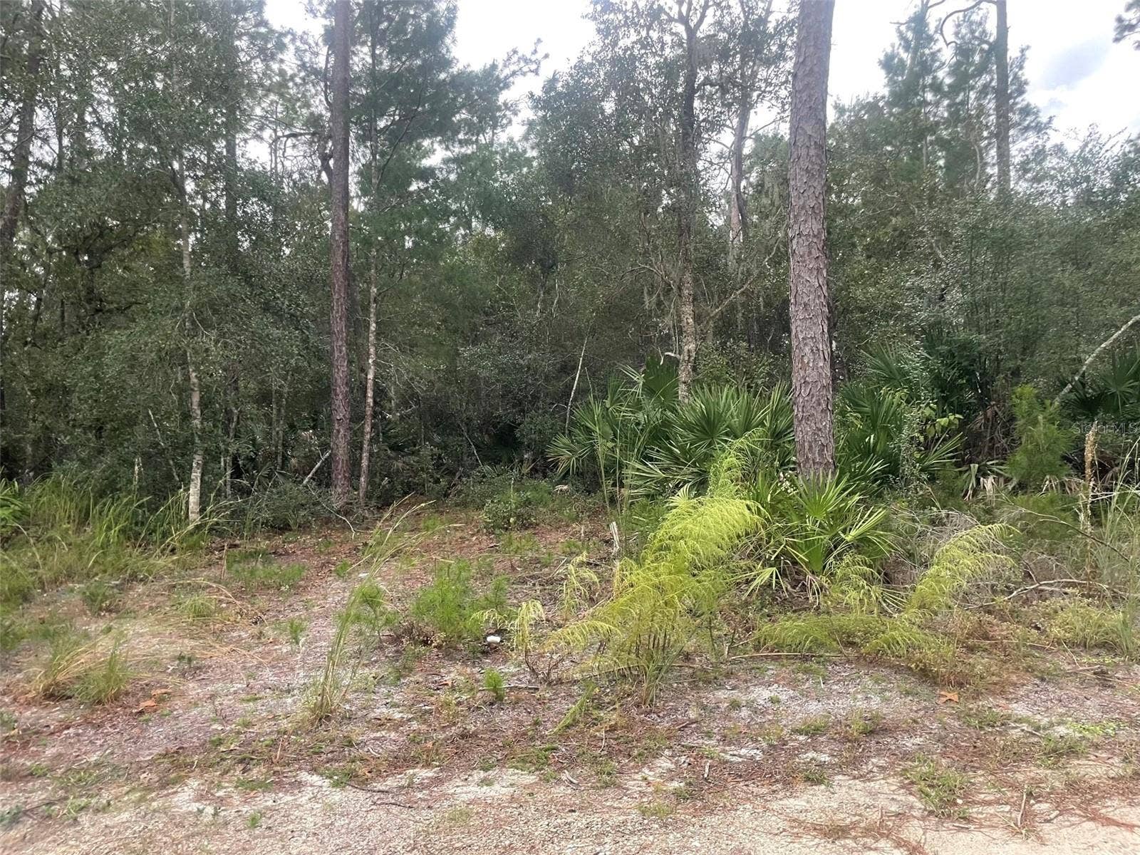 1783 TAYLOR ROAD, Port Orange, FL 32128