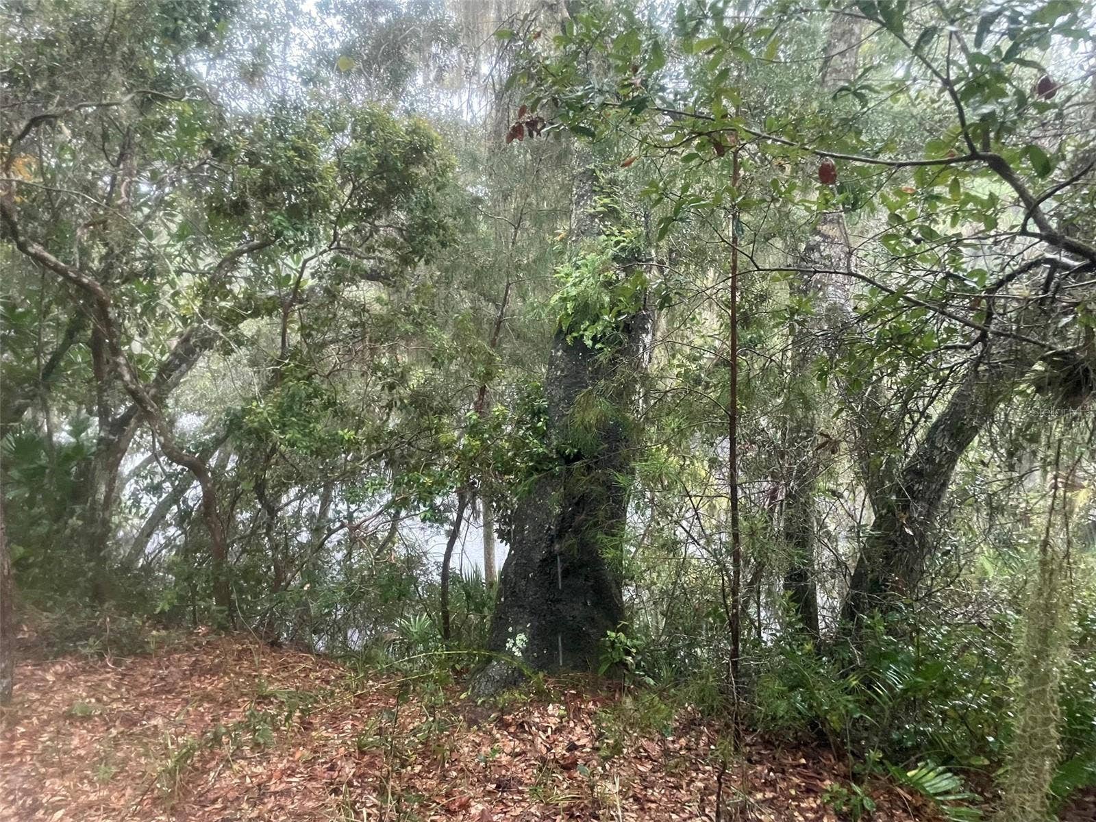 1783 TAYLOR ROAD, Port Orange, FL 32128
