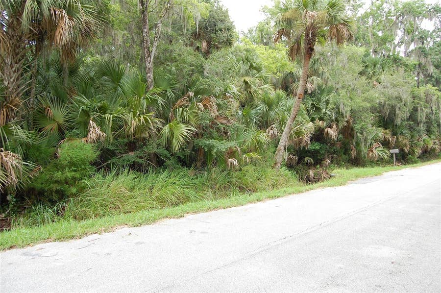 Property photo for PALM DRIVE, New Smyrna Beach, FL
