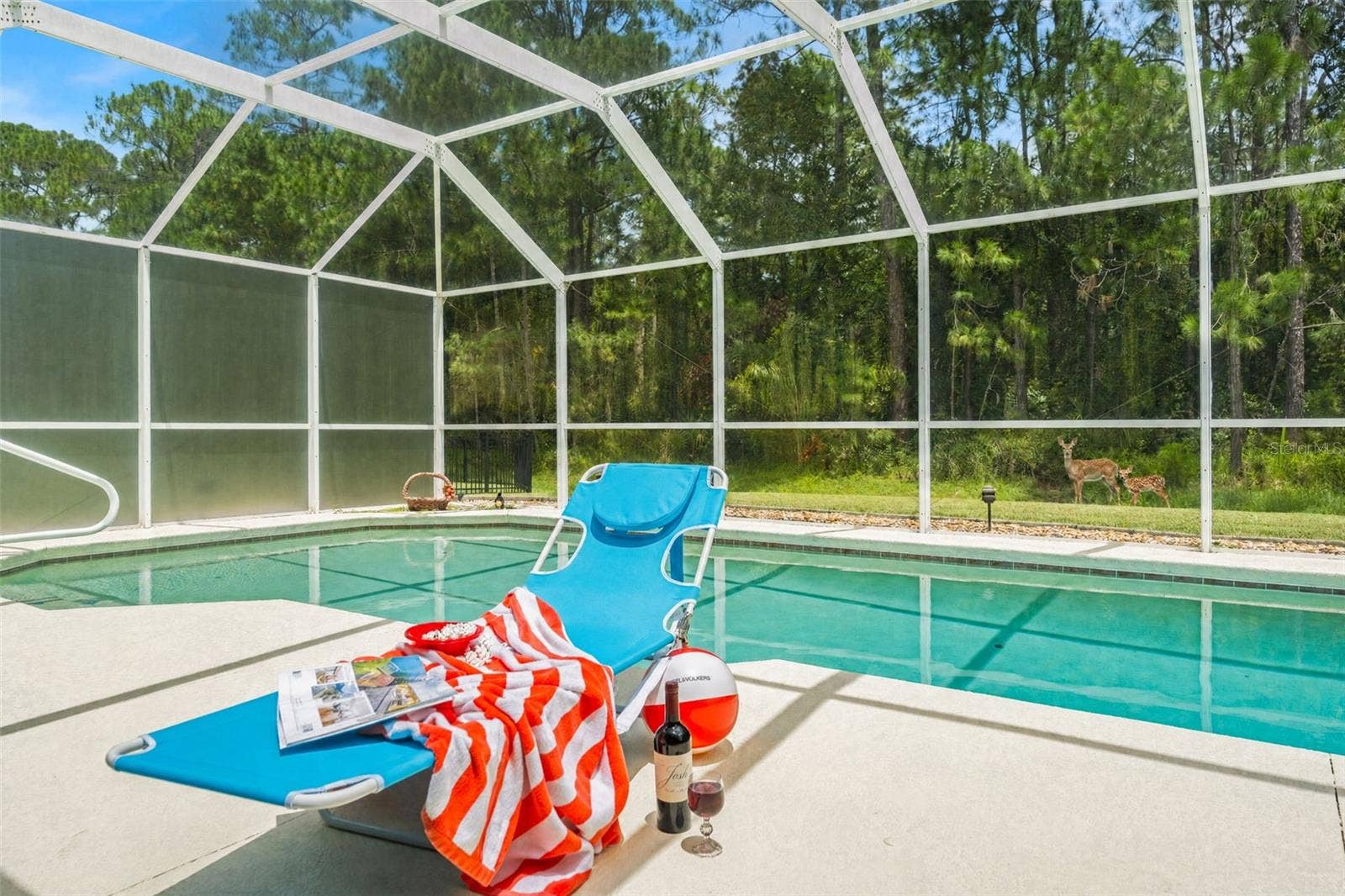 Private backyard backing up to a nature preserve.