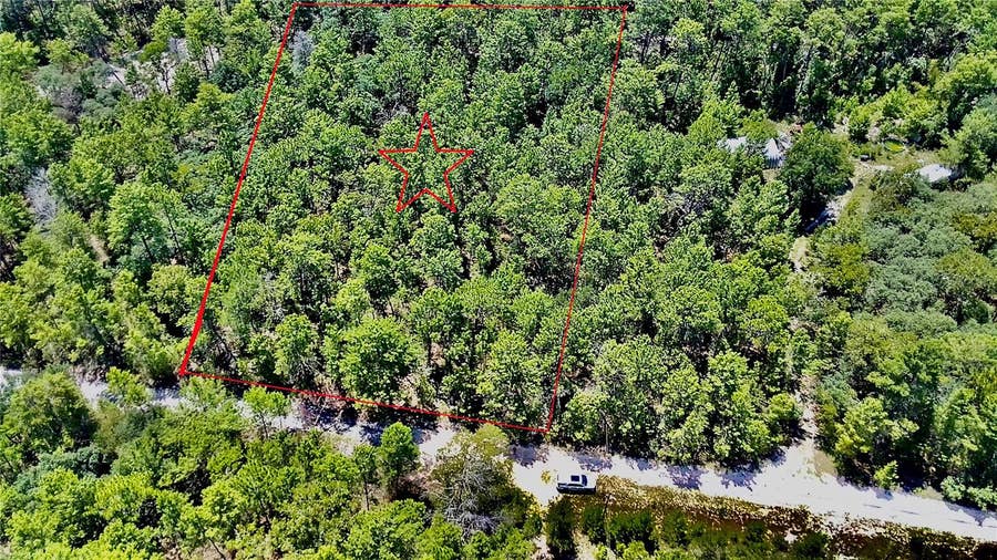 Property photo for 121 PEAR STREET, Welaka, FL