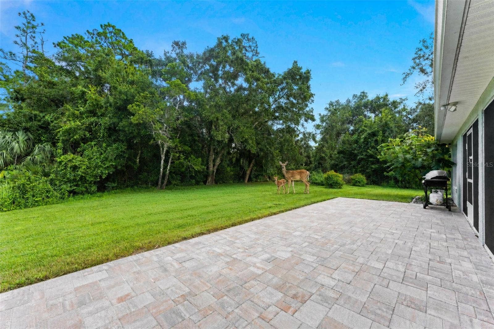 Pavered brick patio and visitors.