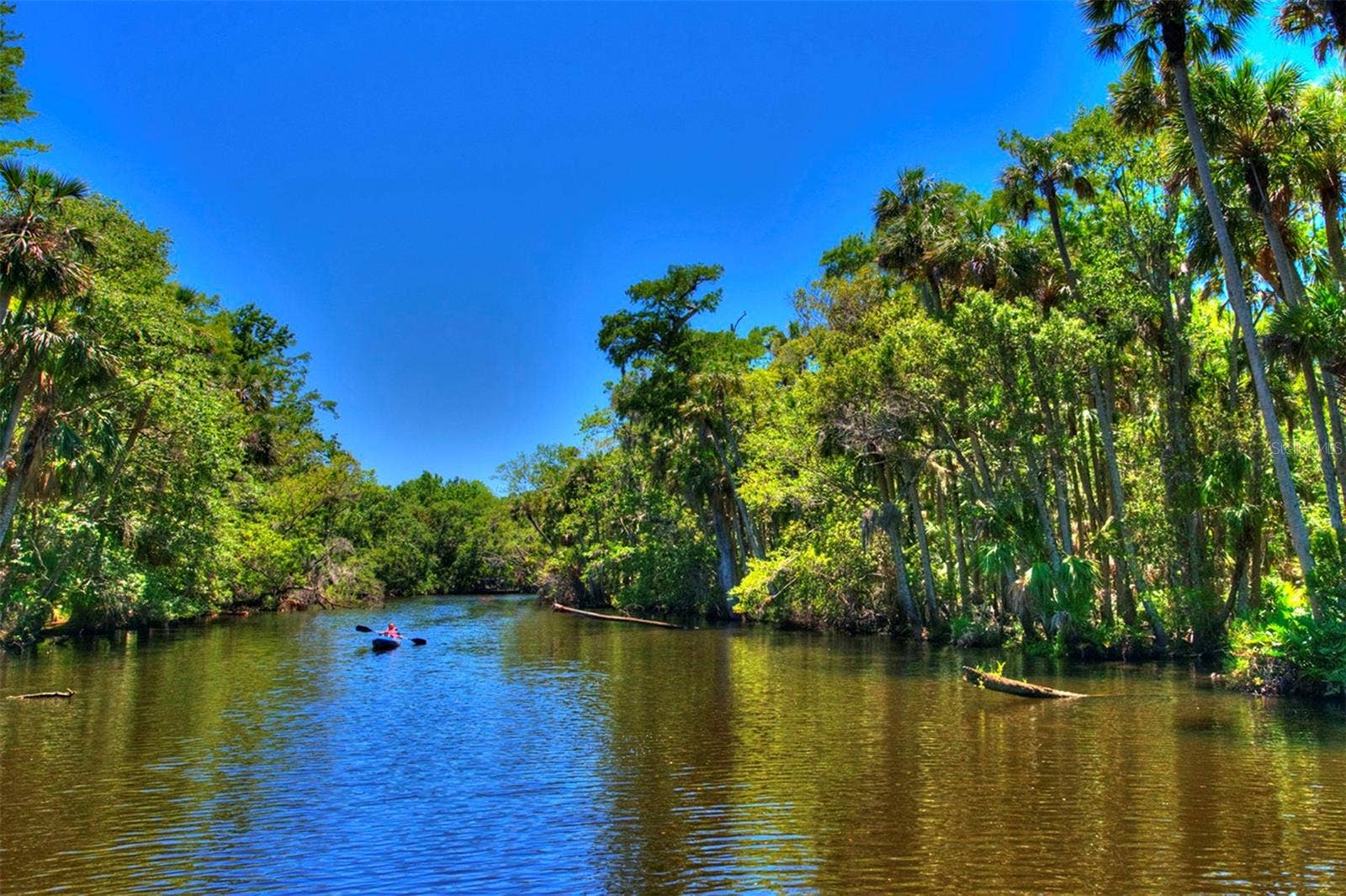 2126 SPRINGWATER LANE, Port Orange, FL 32128