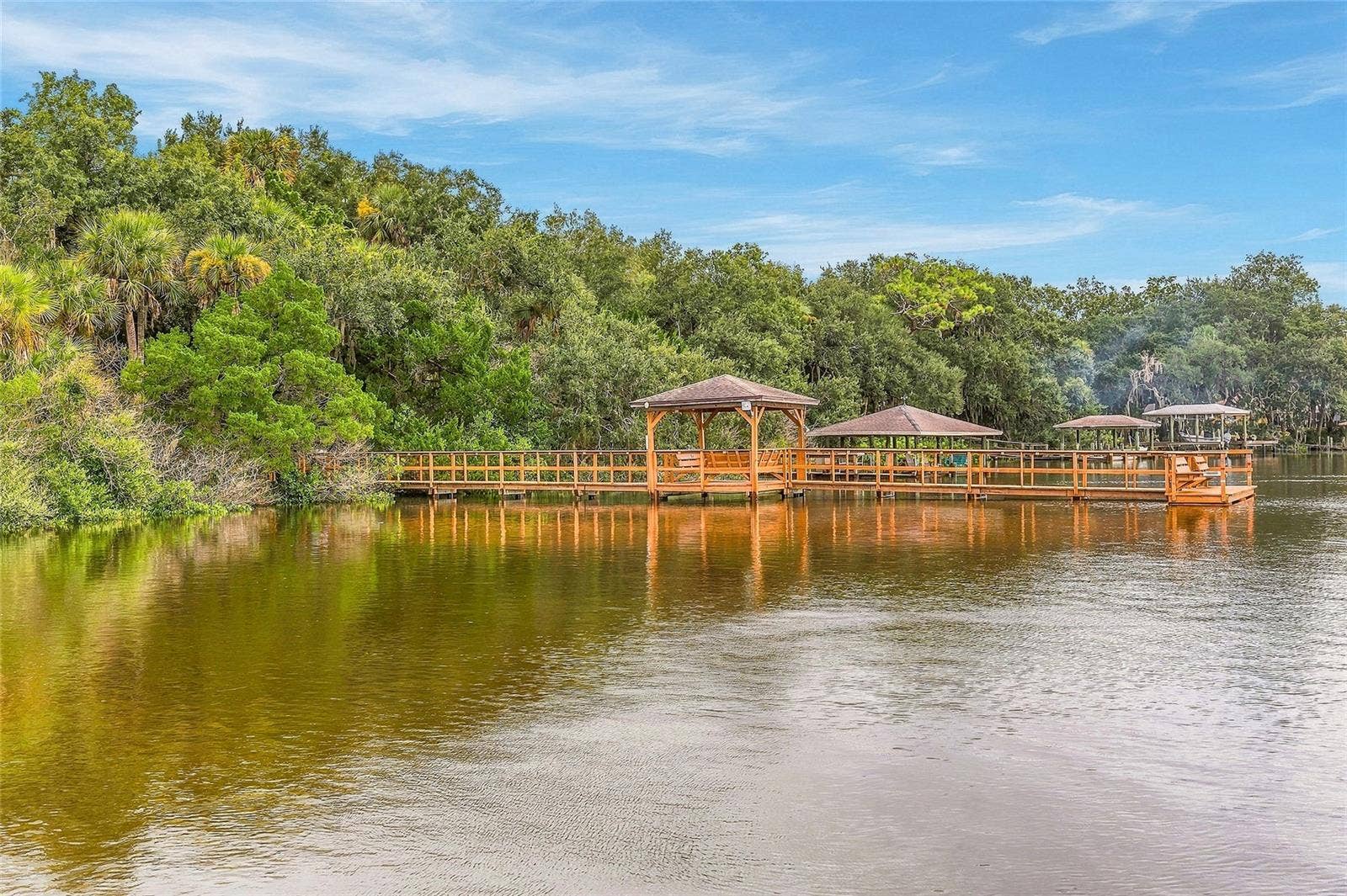 6209 MORNING DRIVE, Port Orange, FL 32127 Explore Spruce Creek Preserve