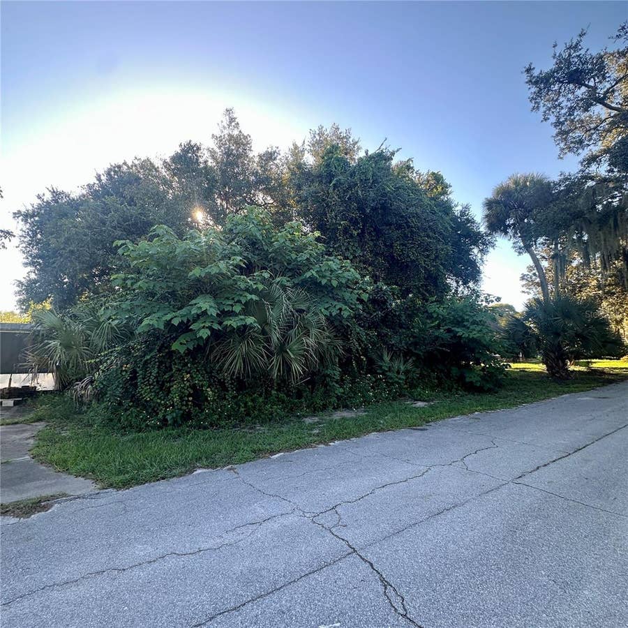 Property photo for 0 OAK STREET, Oak Hill, FL