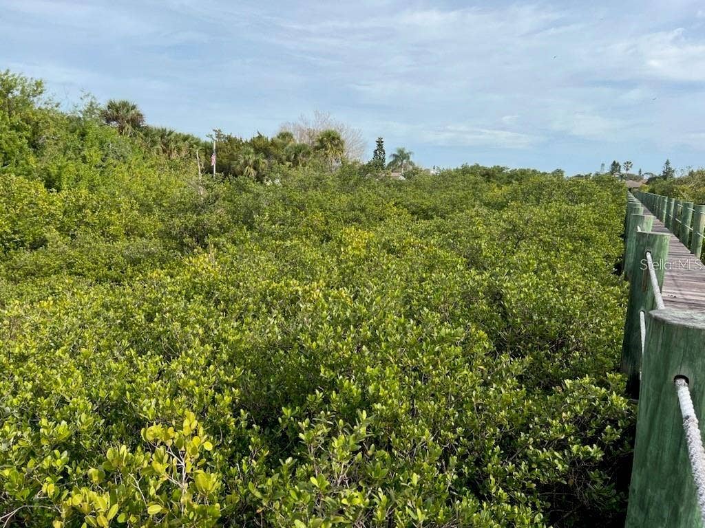 209 INLET SHORES DRIVE, New Smyrna Beach, FL 32168