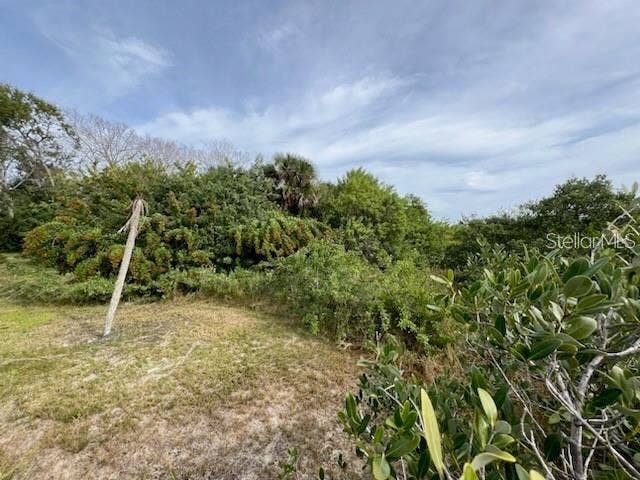 209 INLET SHORES DRIVE, New Smyrna Beach, FL 32168