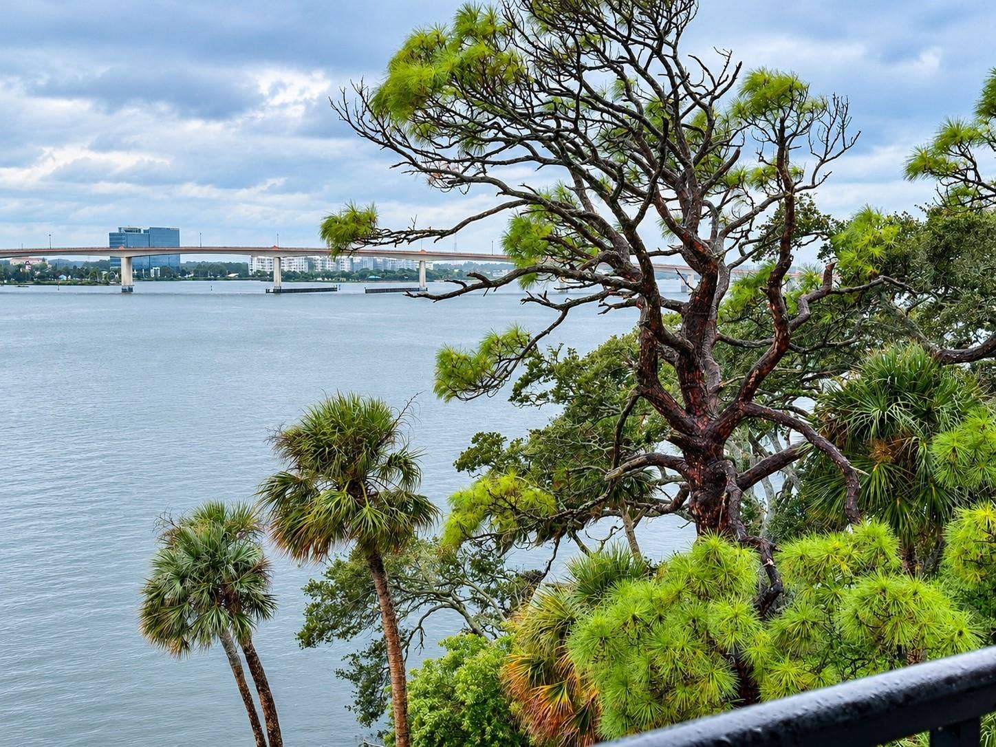 944 S PENINSULA DRIVE, #4080, Daytona Beach, FL 32118 944 S PENINSULA DRIVE, #4080, Daytona Beach, FL 32118