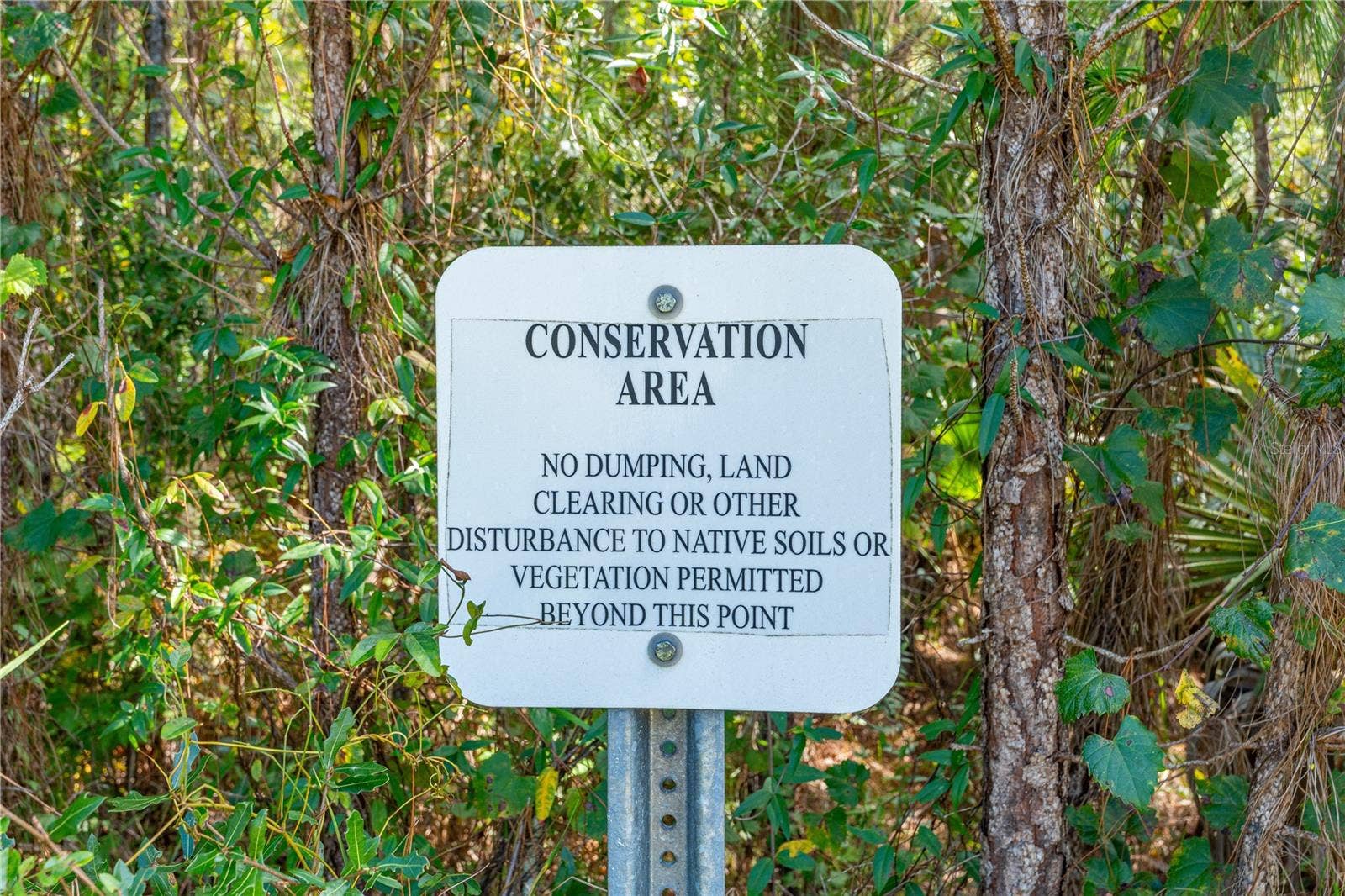 335 SARAH NICOLE WAY, New Smyrna Beach, FL 32168 Backs up to Conservation