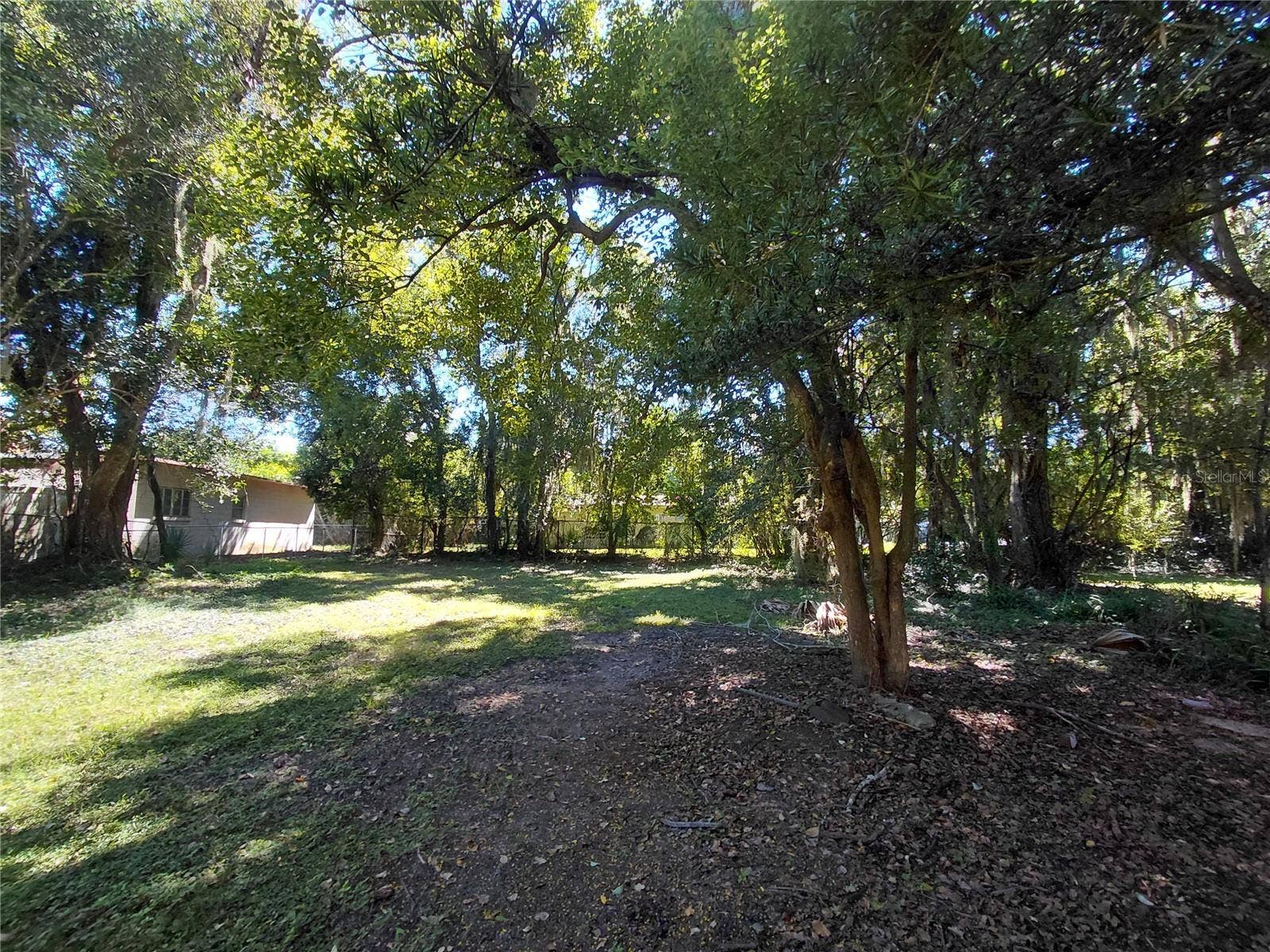 532 E RICH AVENUE, Deland, FL 32724 Back Yard