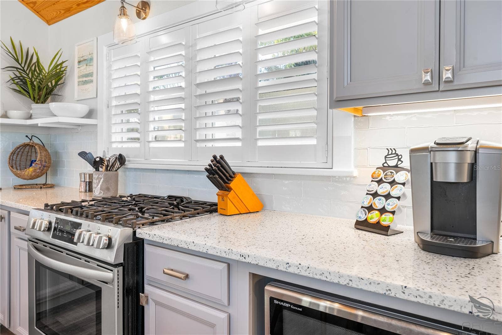 305 LIVE OAK, New Smyrna Beach, FL 32168 305 LIVE OAK, New Smyrna Beach, FL 32168