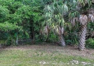 31 DEERWOOD STREET, Palm Coast, FL 32137 31 DEERWOOD STREET, Palm Coast, FL 32137
