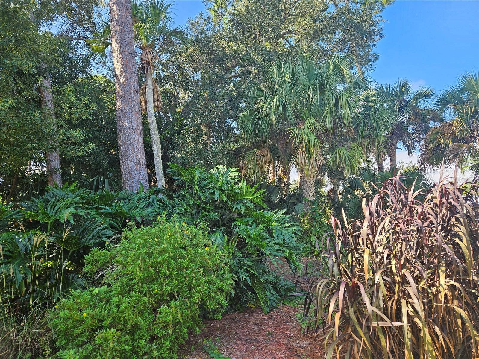 PINE TREE DRIVE, Edgewater, FL 32141 Paths wind throughout lot