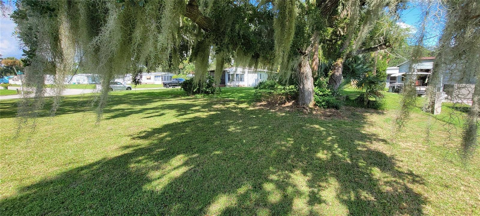 4339 CEDAR WAY, Edgewater, FL 32141 4339 Cedar - Oak Tree