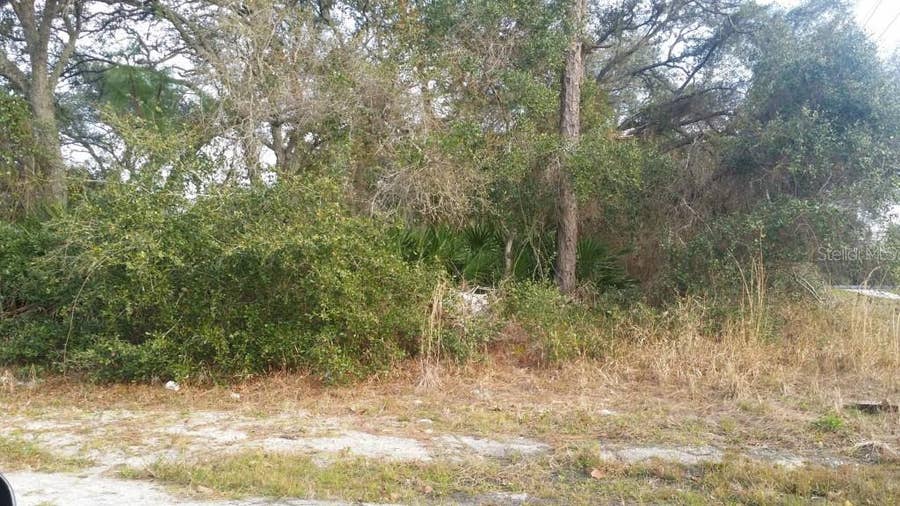 Property photo for 3710 SANDLOR DRIVE, Deltona, FL